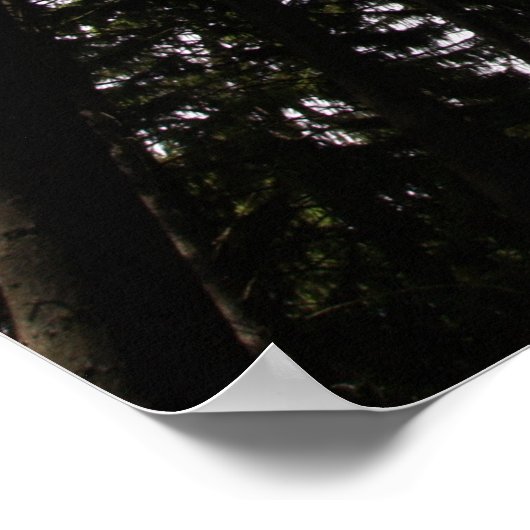 Hollywood Poster (Ecke)