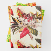 Hollywood Tropic, Bruxelles Apricot und Thebes Geschenkpapier Set (Beispiel)