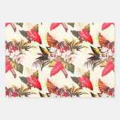 Hollywood Tropic, Bruxelles Apricot und Thebes Geschenkpapier Set (Vorderseite)