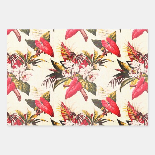 Hollywood Tropic, Bruxelles Apricot und Thebes Geschenkpapier Set (Vorderseite)