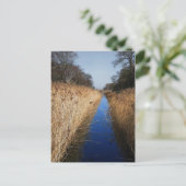 Holme Fen Dyke Postkarte (Stehend Vorderseite)