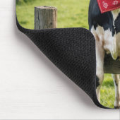 Holstein auf einem Bauernhof Mousepad (Ecke)