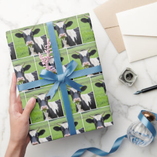 Holstein Bull in Grünweide Geschenkpapier