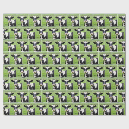 Holstein Bull in Grünweide Geschenkpapier (Flach)