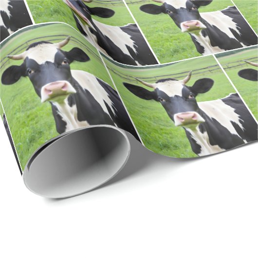 Holstein Bull in Grünweide Geschenkpapier (Rolleneckpunkt)