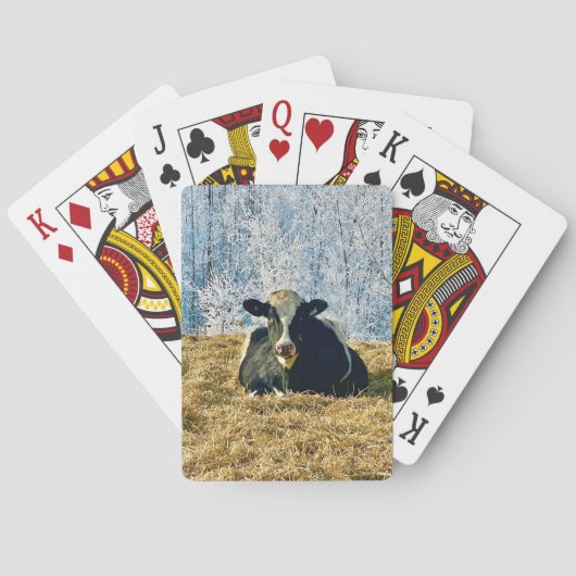 Holstein Calf bei Frosty Alberta Morning Spielkarten (Rückseite)