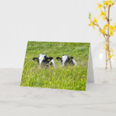 Holstein calves Card Karte (Gelbe Blume)