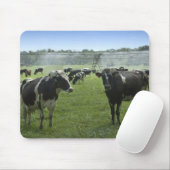 Holstein Cattle Mousepad (Mit Mouse)
