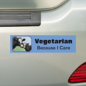 Holstein Cow & Calf Vegetarian Sky Blue Autoaufkleber (Auf Auto)