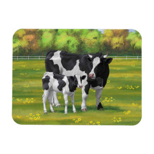 Holstein Cow & Cute Calf in Summer Pasture Magnet
