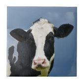 Holstein COW Fliese (Vorderseite)