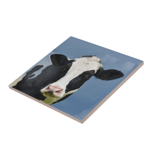 Holstein COW Fliese (Seite)