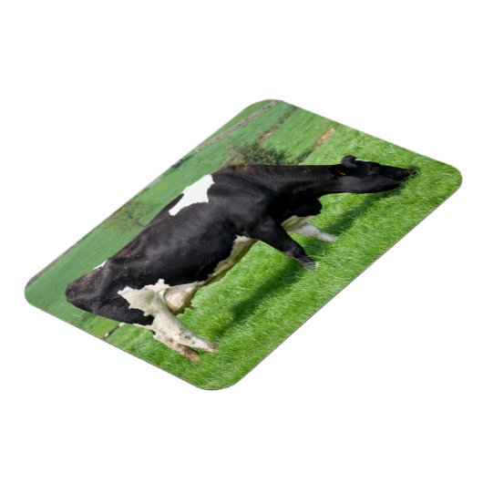 Holstein Cow Magnet (Linke Seite)