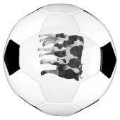 Holstein Cow & Niedlich Calf Fußball (Gedreht)