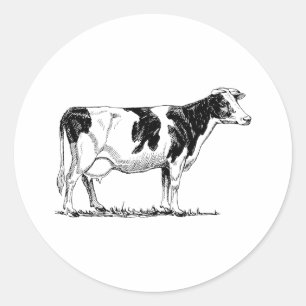 Holstein Cow Runder Aufkleber