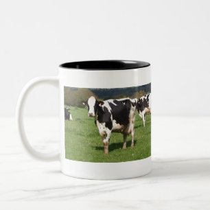 Holstein cows in a field in Brittany Zweifarbige Tasse