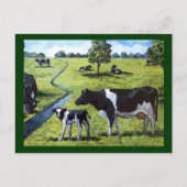 HOLSTEIN COWS IN PASTBAR: Handgemalte Kunst Postkarte (Vorderseite)