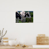 Holstein Dairy Cattle Poster (Küche)