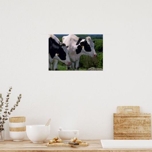 Holstein Dairy Cattle Poster (Küche)