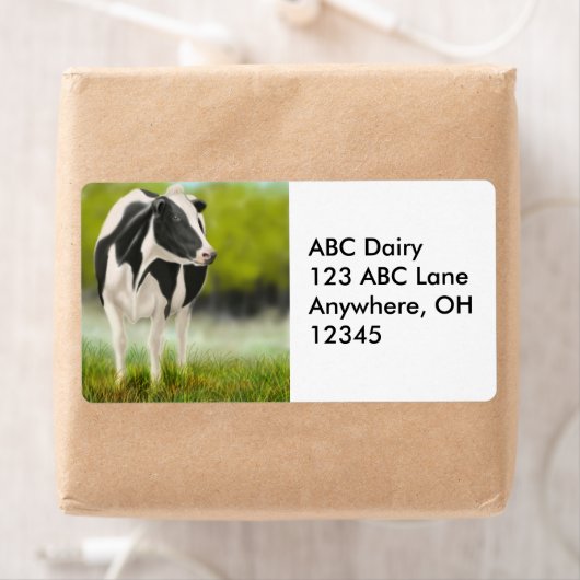 Holstein Dairy Cow Label (Insitu)