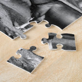 Holstein fresische Kühe fresische Kühe Puzzle (Seite)