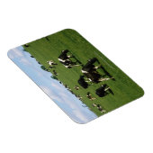 Holstein-Friesische Rinder, Irland Magnet (Rechte Seite)