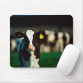 Holstein-Friesisches Kalb Mousepad (Mit Mouse)