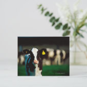 Holstein-Friesisches Kalb Postkarte (Stehend Vorderseite)