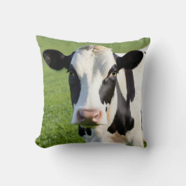 Holstein Heifer in der Weide Kissen