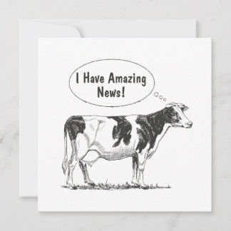 Holstein Kuh anpassen Ankündigung