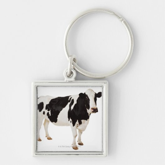 Holstein-Kuh (Bosstier) Schlüsselanhänger (Vorne)