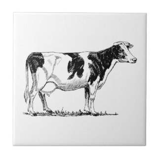 Holstein-Kuh Fliese