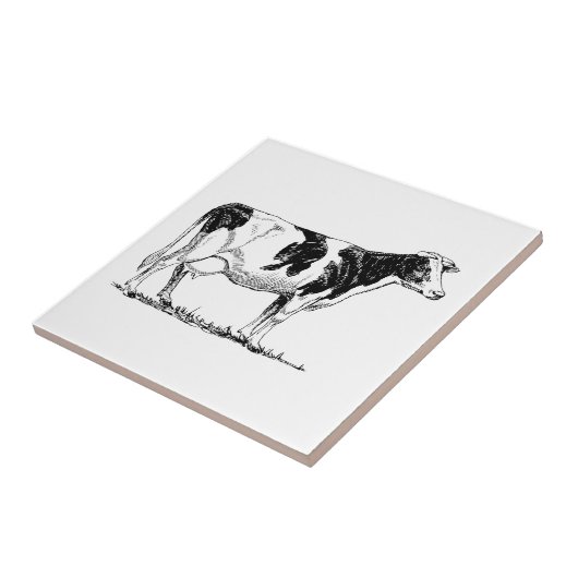 Holstein-Kuh Fliese (Seite)