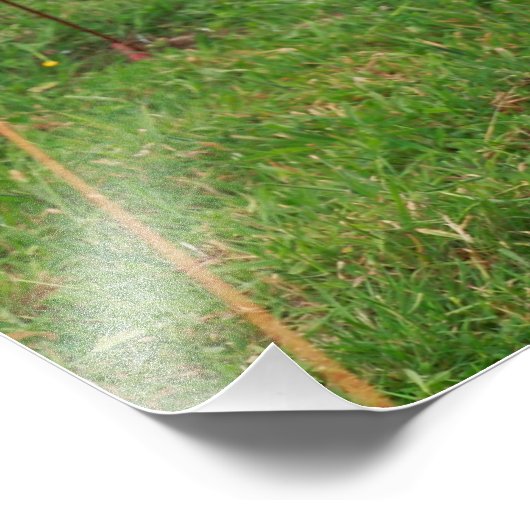 Holstein Kuh Fotodruck (Ecke)