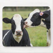 Holstein-Kuh-Kuss Mousepad (Vorne)