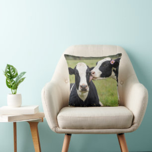 Holstein-Kuh küsst auf Weide auf dem Bauernhof Kissen