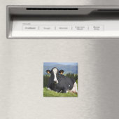 Holstein Kuh Magnet (In Situ (Geschirrspüler))