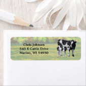 Holstein Kuh & Niedliches Kalb im Sommer Weide (Insitu)