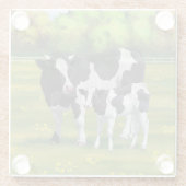 Holstein Kuh & Niedliches Kalb im Sommer Weide Glasuntersetzer (Rückseite)
