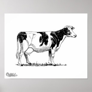 Holstein-Kuh Poster