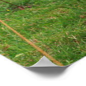 Holstein Kuh Poster (Ecke)