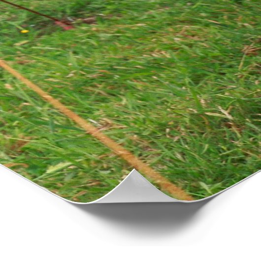 Holstein Kuh Poster (Ecke)