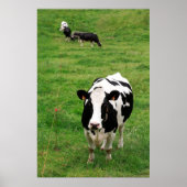 Holstein Kuh Poster (Vorne)