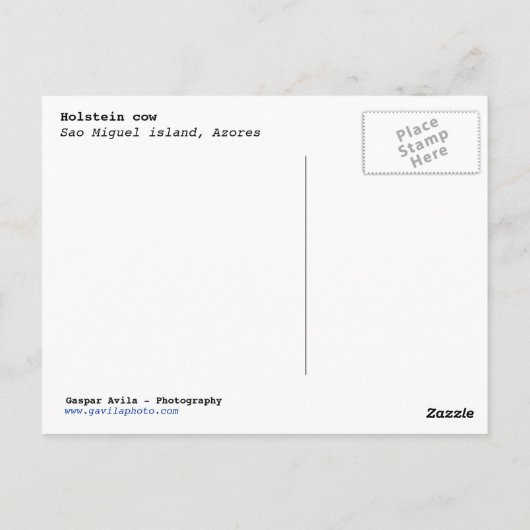 Holstein Kuh Postkarte (Rückseite)