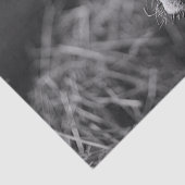 Holstein Kuh Schwarz-Weiß-Decoupage Seidenpapier (Detail)