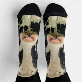 Holstein Kuh Socken