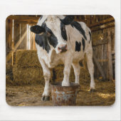 Holstein-Kuh steht in einem rostigen Eimer Mousepad (Vorne)