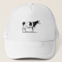 Holstein-Kuh