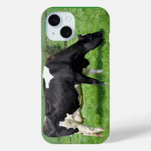 Holstein Kuh Weiden in Weide Case-Mate iPhone Hülle (Rückseite)