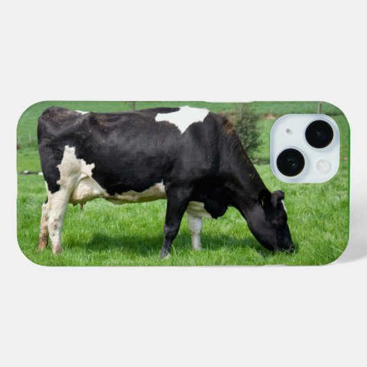 Holstein Kuh Weiden in Weide Case-Mate iPhone Hülle (Rückseite (Horizontal))